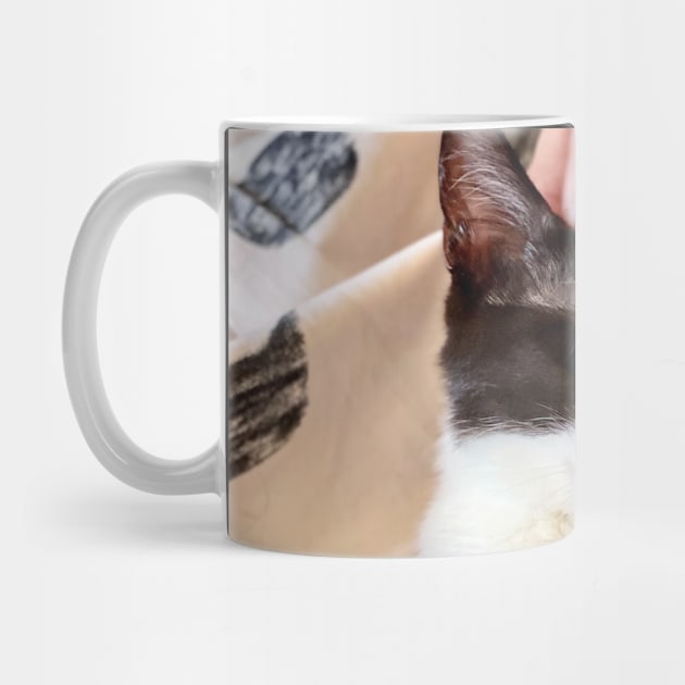 Cat Cafe: Fergie (gifts) by VisualSpice